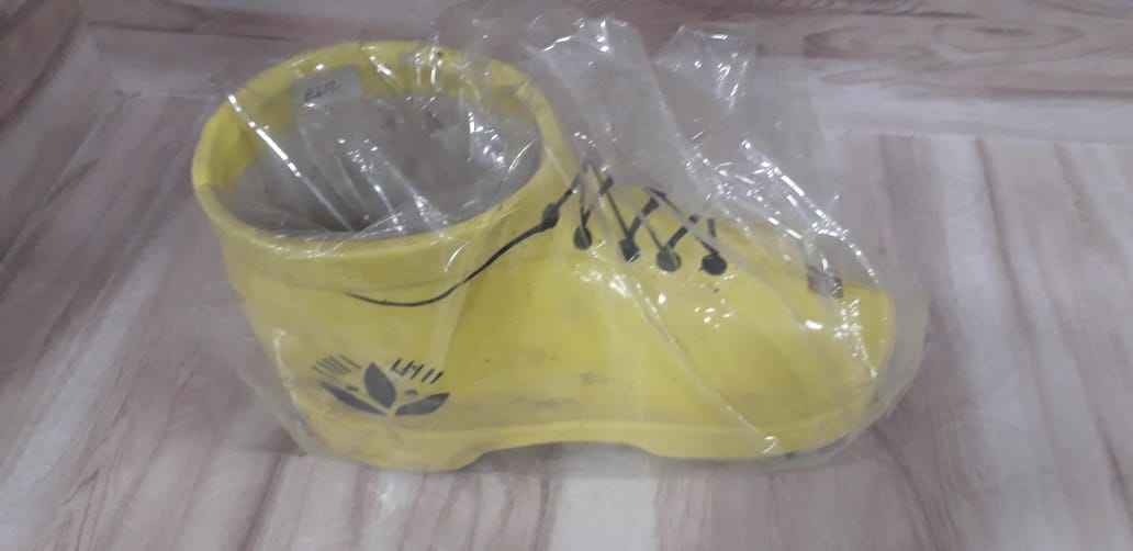 Shoe design planter