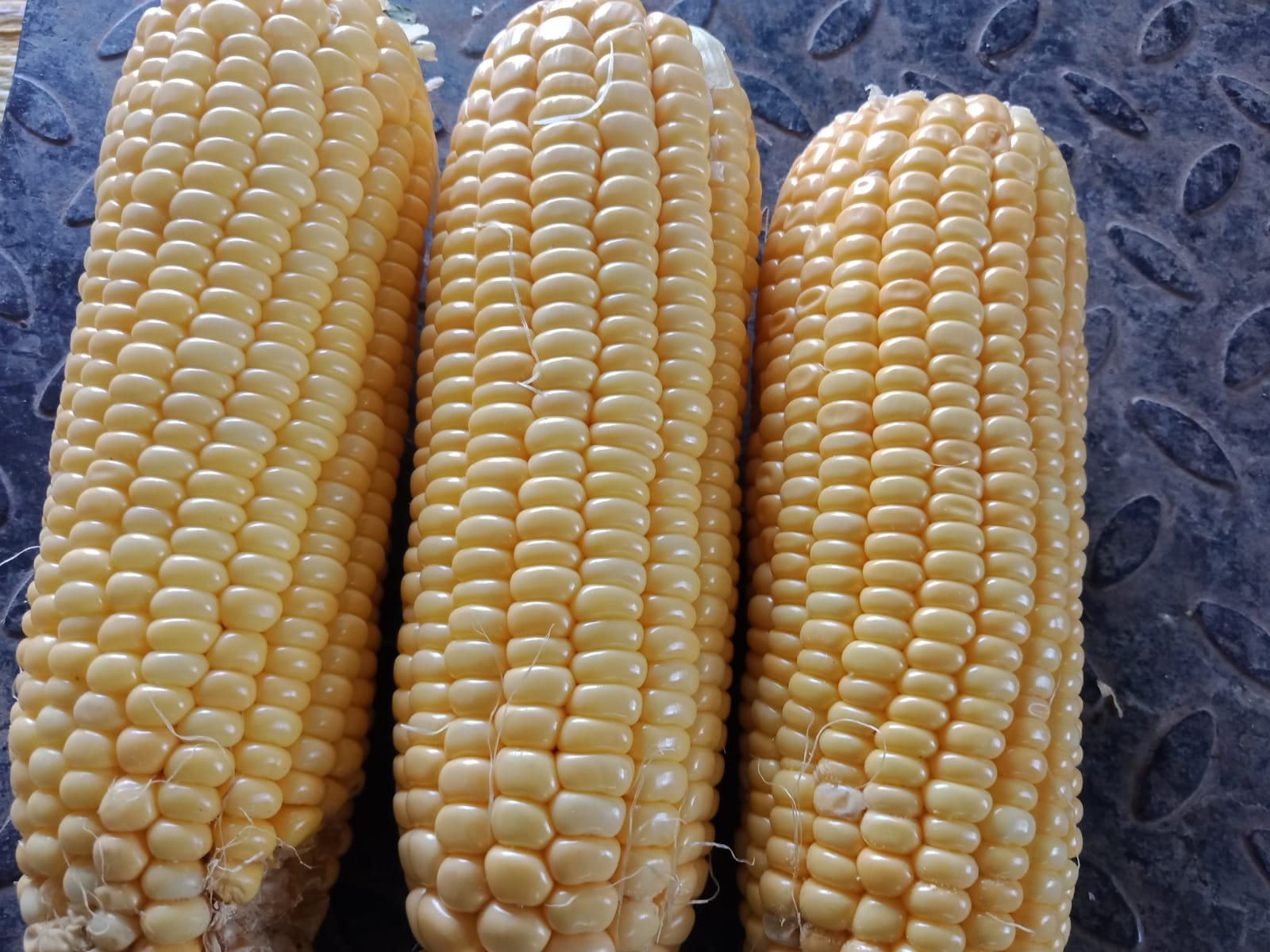 Sweetcorn 