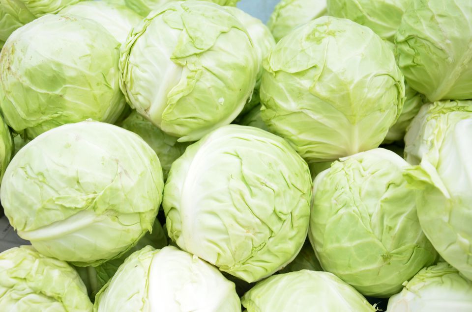 Cabbage / पत्ता गोभी / કોબી (Per Kilo Grams)