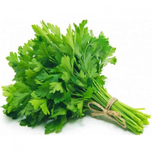 Coriander Leaf / हरा धनिया पत्ता / કોથમીરનું પાન (Per 500 Grams)