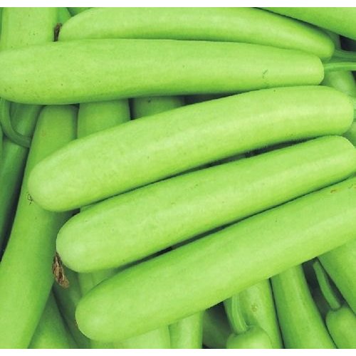 Bottle Gourd / लौकी/ घिया  / દૂધી (Per 250 Grams)