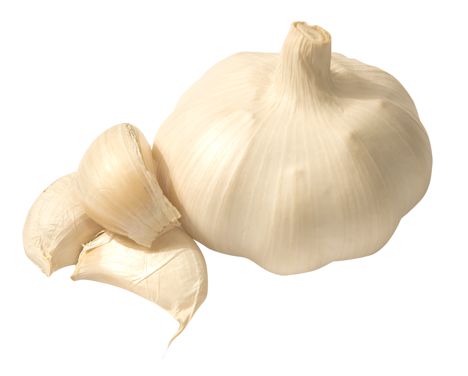 Garlic 