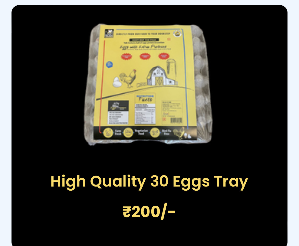High Quality 30 Eggs Tray