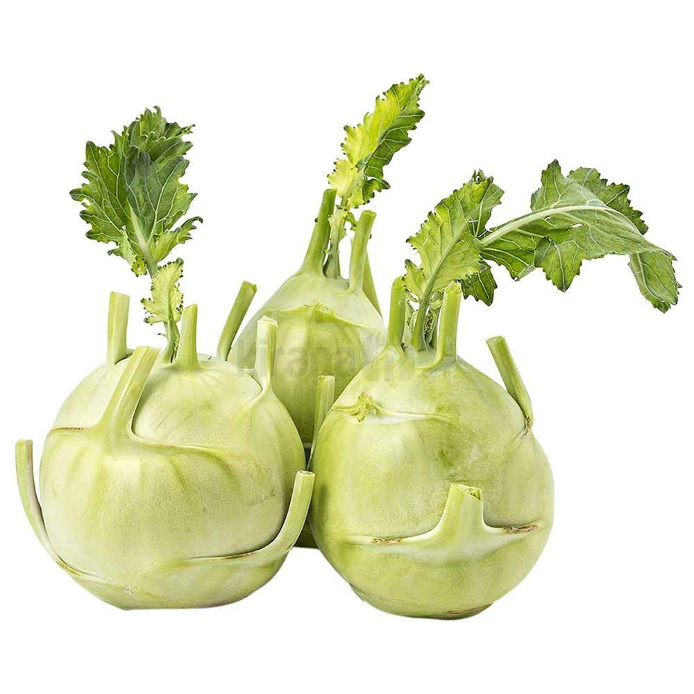 Knol Khol 1/2Kg