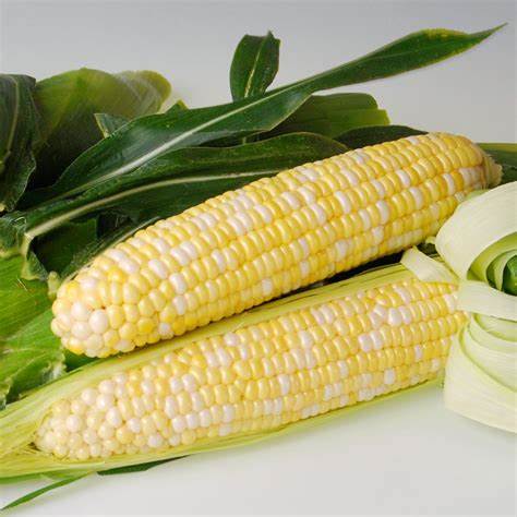 Sweet Corn 1Pc