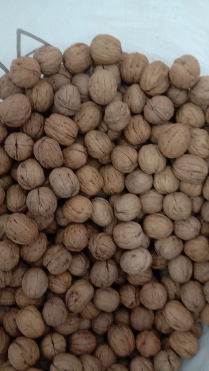 Chile Walnuts 
