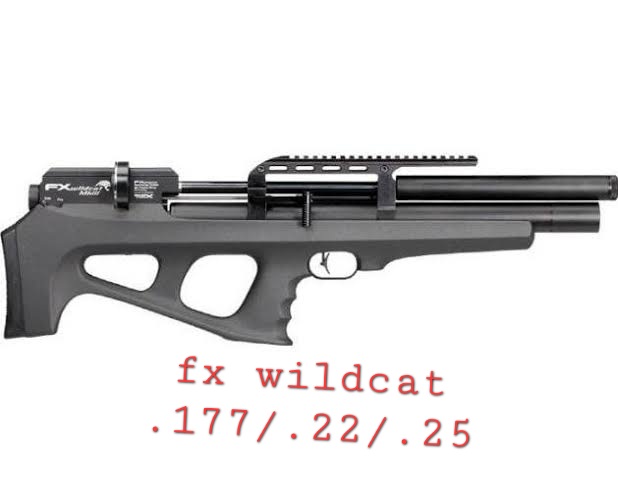 Fx wild cat .177